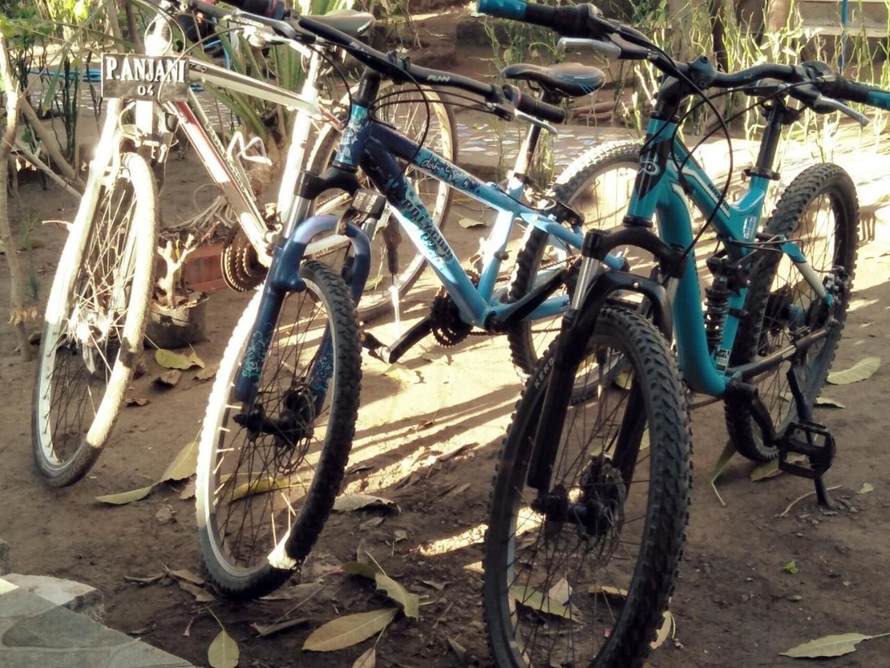 Pondok Anjani ギリ島 エクステリア 写真